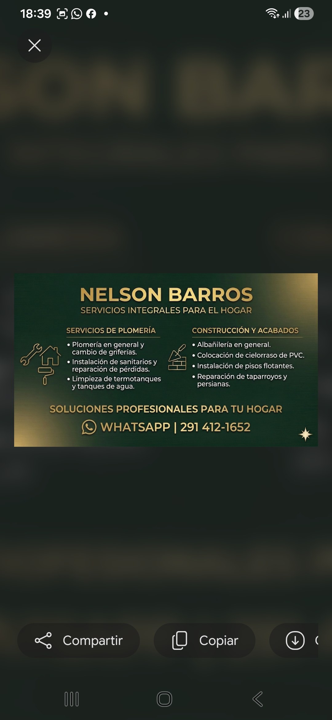 Barros Nelson